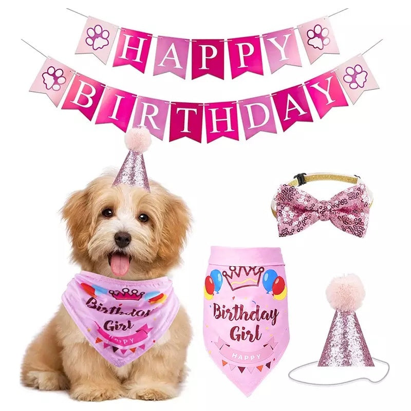Dog party outfit 4 pieces Girl